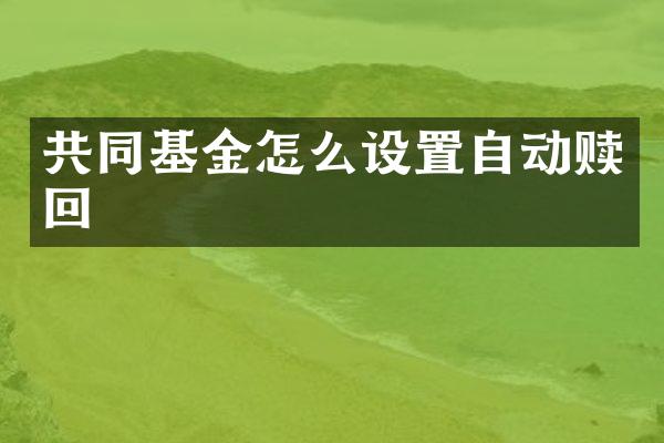 共同基金怎么设置自动赎回