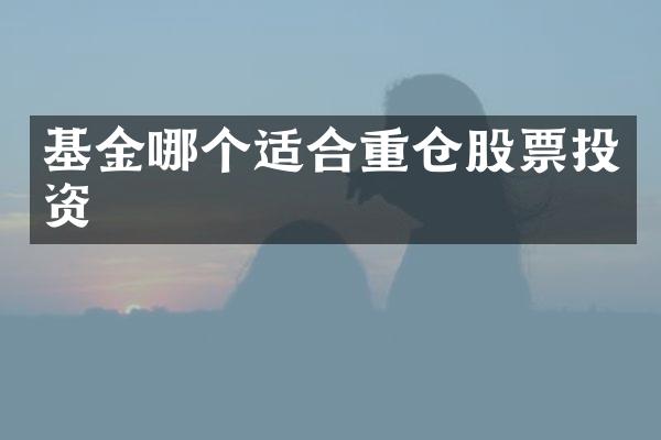 基金哪个适合重仓股票投资