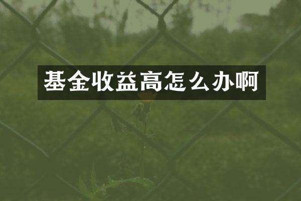 基金收益高怎么办啊