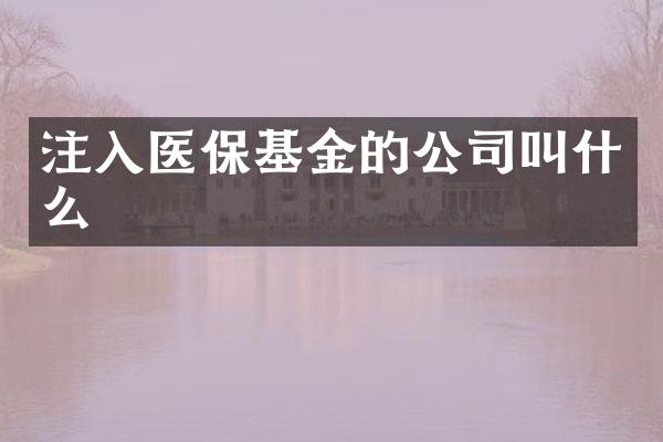 注入医保基金的公司叫什么