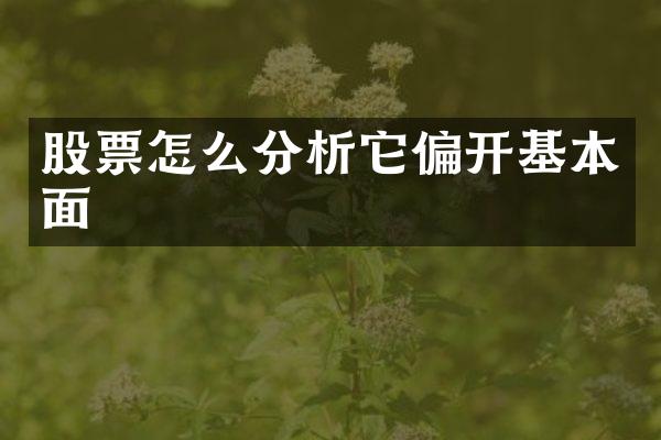 股票怎么分析它偏开基本面