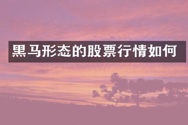 黑马形态的股票行情如何