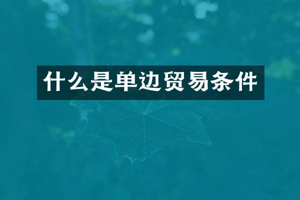 什么是单边贸易条件