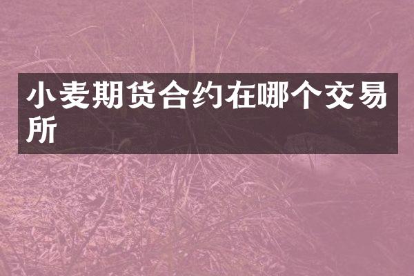 小麦期货合约在哪个交易所