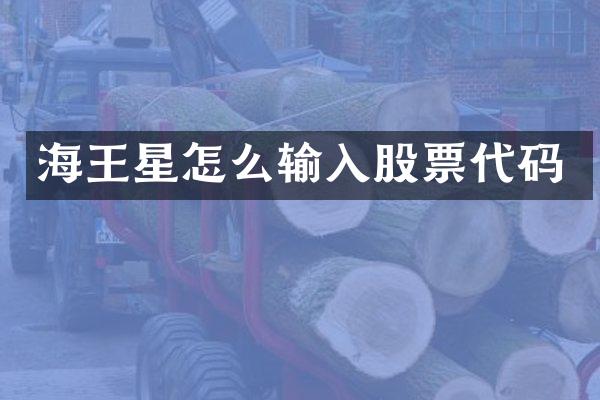 海王星怎么输入股票代码