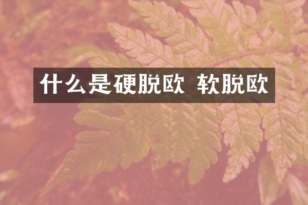 什么是硬脱欧 软脱欧