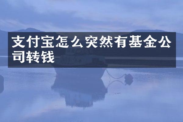 支付宝怎么突然有基金公司转钱