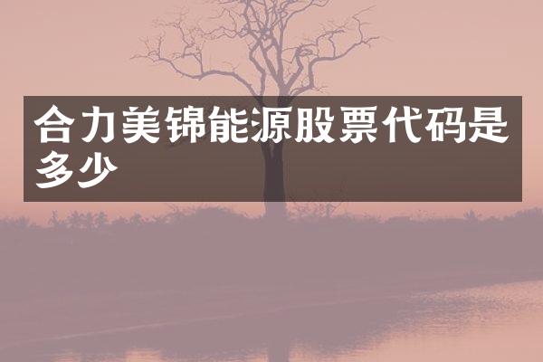 合力美锦能源股票代码是多少