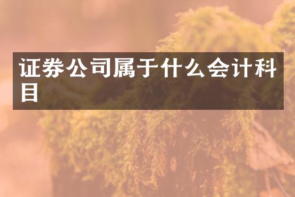 证券公司属于什么会计科目