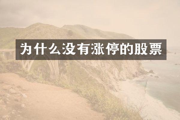 为什么没有涨停的股票