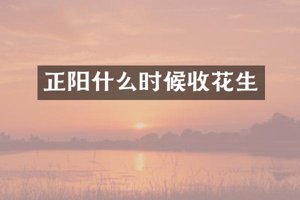 正阳什么时候收花生