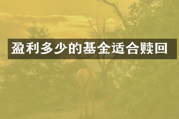 盈利多少的基金适合赎回