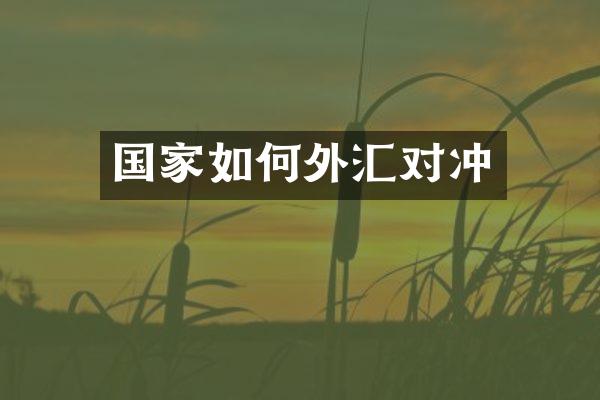 国家如何外汇对冲