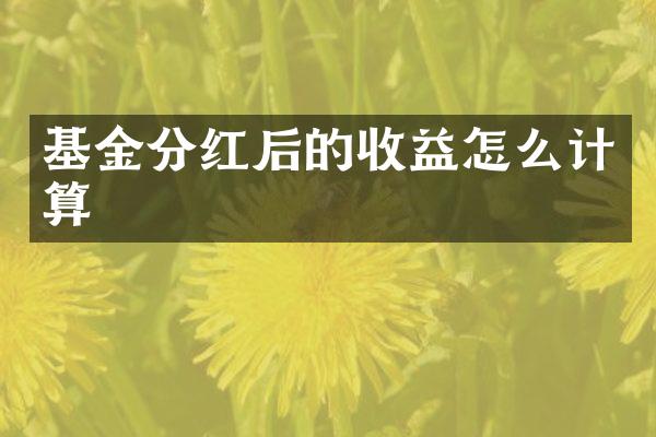基金分红后的收益怎么计算