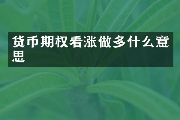 货币期权看涨做多什么意思