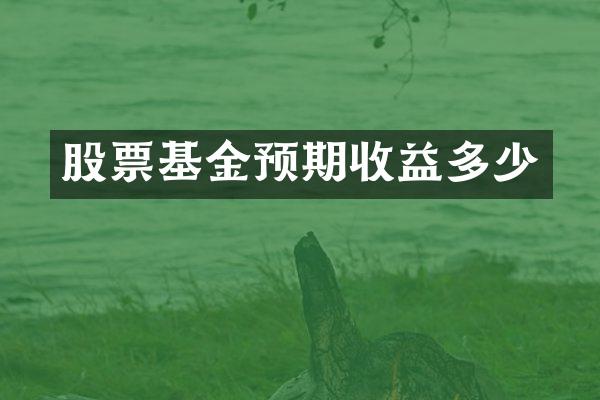 股票基金预期收益多少