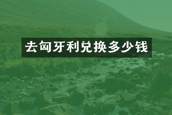 去匈牙利兑换多少钱