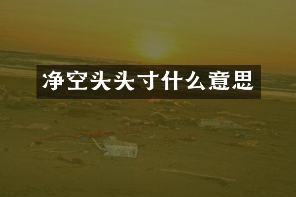 净空头头寸什么意思