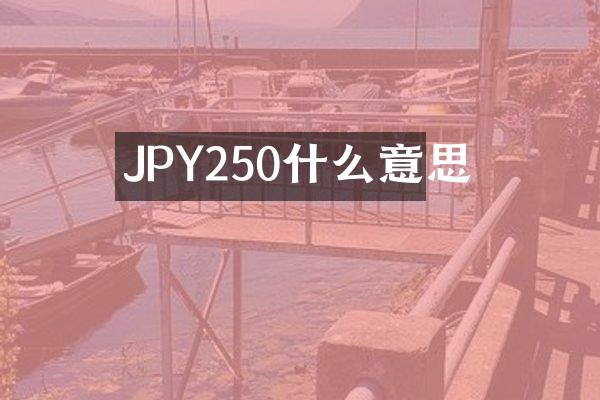 JPY250什么意思
