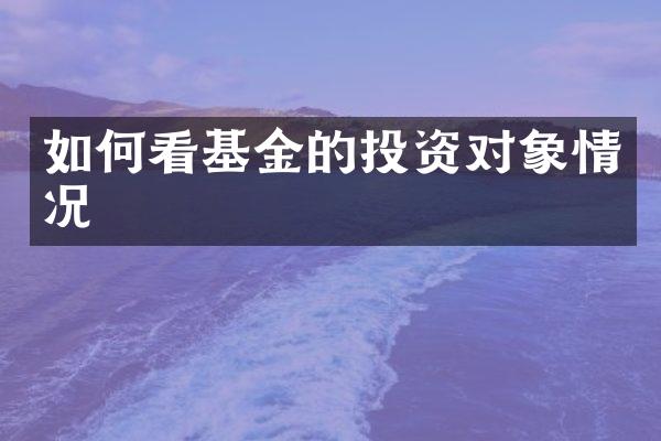 如何看基金的投资对象情况