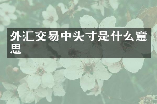外汇交易中头寸是什么意思