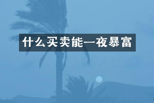 什么买卖能一夜暴富