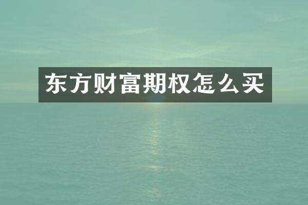 东方财富期权怎么买