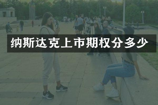 纳斯达克上市期权分多少