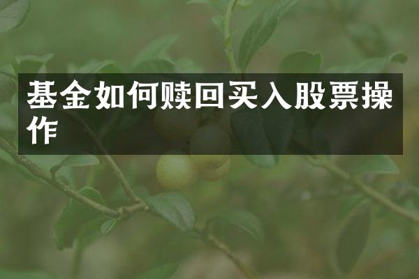 基金如何赎回买入股票操作