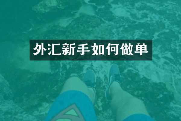 外汇新手如何做单