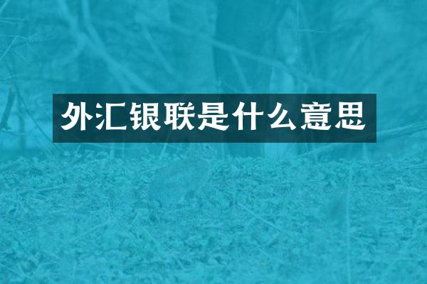 外汇银联是什么意思