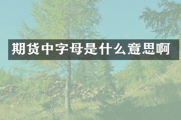 期货中字母是什么意思啊