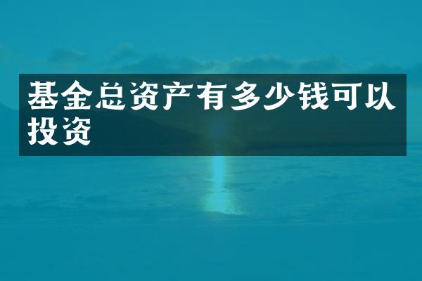 基金总资产有多少钱可以投资
