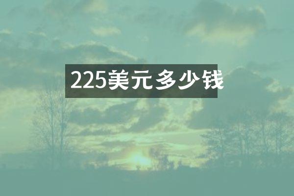 225美元多少钱