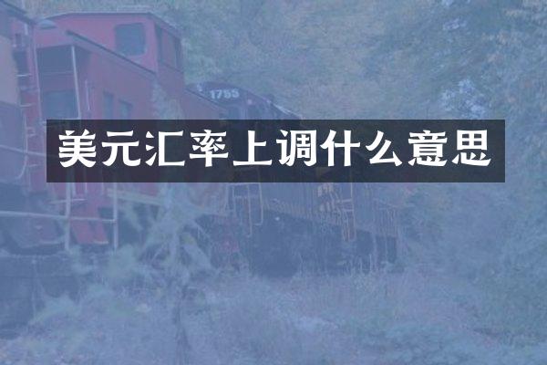 美元汇率上调什么意思