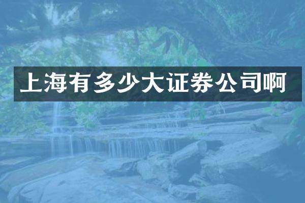 上海有多少大证券公司啊