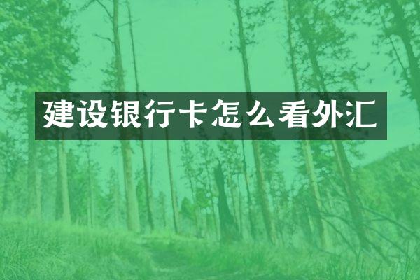 建设银行卡怎么看外汇