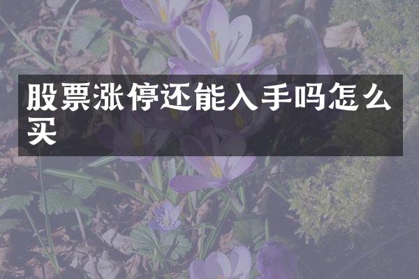 股票涨停还能入手吗怎么买