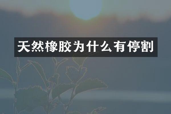 天然橡胶为什么有停割