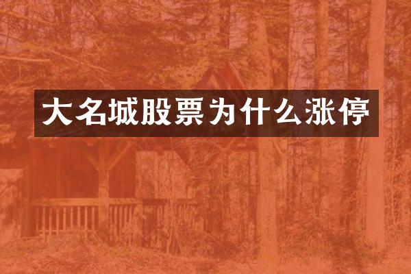 大名城股票为什么涨停