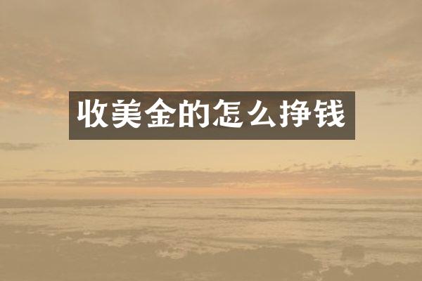 收美金的怎么挣钱