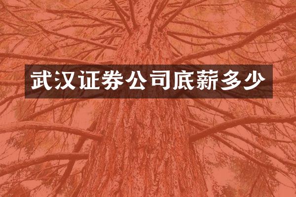 武汉证券公司底薪多少