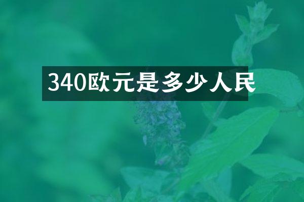 340欧元是多少人民