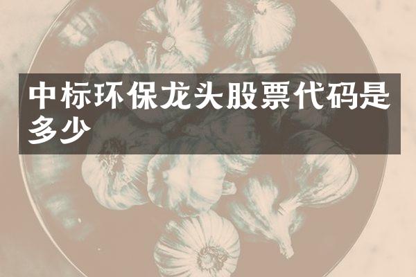 中标环保龙头股票代码是多少