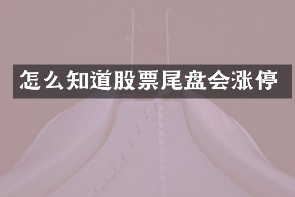 怎么知道股票尾盘会涨停