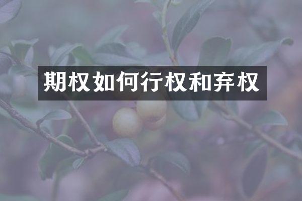 期权如何行权和弃权