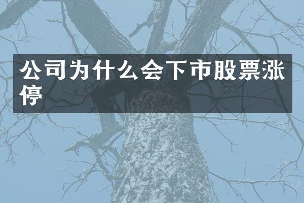 公司为什么会下市股票涨停