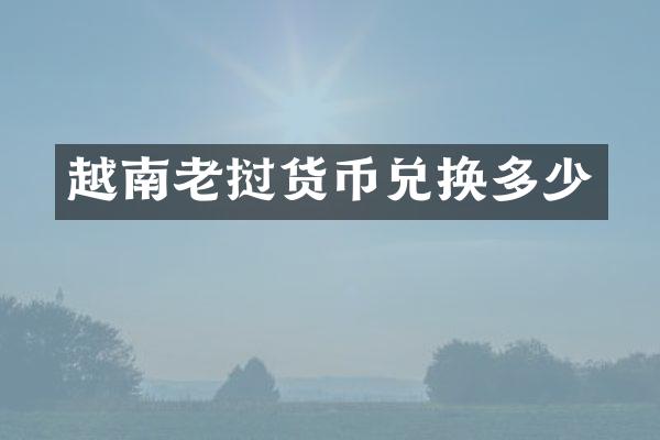 越南老挝货币兑换多少