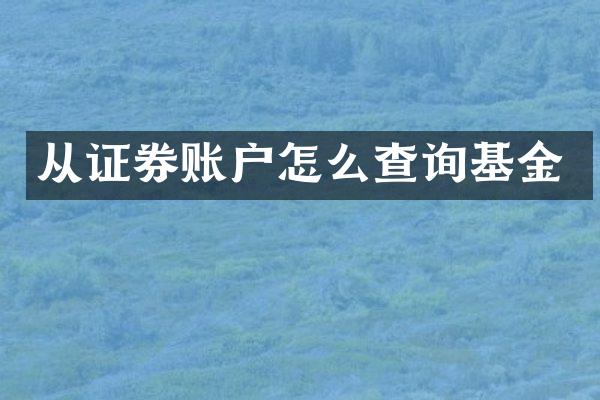 从证券账户怎么查询基金