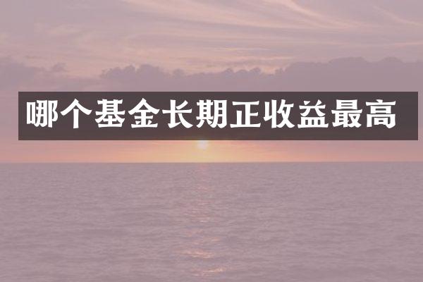 哪个基金长期正收益最高